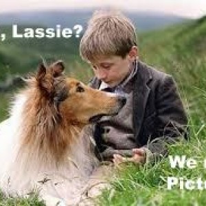Lassie-001