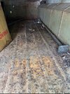 IMG_0048.jpeg
