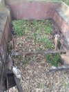 IMG_0057.jpeg