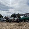 IMG_7923.jpeg