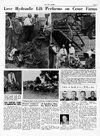 0946SalesNewsPic.jpg