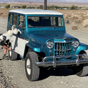 Media 'Parker Jeep Jump Resized' in category 'Example Category'