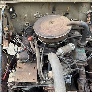 IMG_0499.JPEG