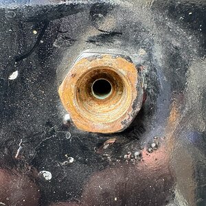 IMG_1148.JPEG