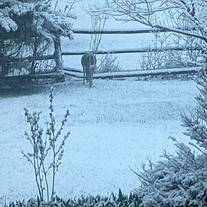 PXL_20220509_023221793