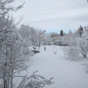 PXL_20220509_131231999